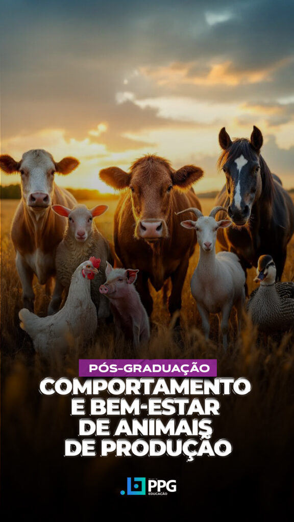 Comportamento e BEA