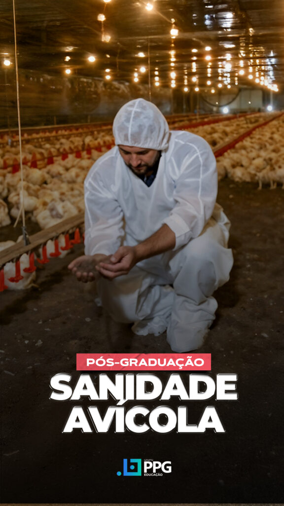 SANIDADE